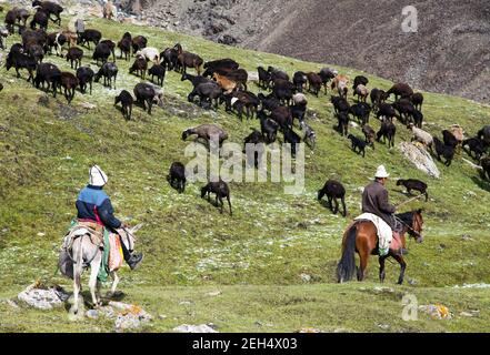 Calciatori con gregge in Alay montagne su pascoli - vita In Kirghizistan Foto Stock