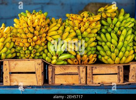 Banane su casse per la vendita sul mercato locale, Guayaquil, Ecuador. Foto Stock