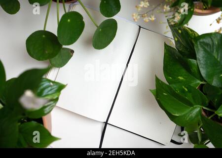 Notebook Workplace piatto bianco casa ufficio posto di lavoro verde vasato piante note di concetto indoor penna journaling scrittura a casa hobby molla Foto Stock