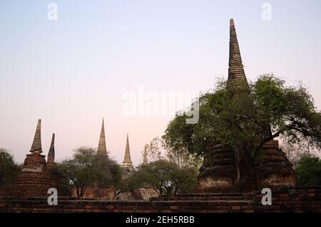 Parco storico Ayutthaya antico regno Wat Phra si sanphet assomiglia a sukhothai vicino Bangkok Thailandia. Antica pagoda buddista Foto Stock