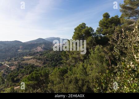 Paesaggio con la vista della città di Sant Feliu de Codinas sul retro come visto dai boschi nelle vicinanze. Giorno di sole e alberi di pino verde nel parco in Foto Stock