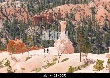 BRYCE CANYON, UTAH - 26 MAGGIO 2012. Escursione di coppia caucasica su un sentiero attraverso il paesaggio del Bryce Canyon National Park, Utah, USA Foto Stock