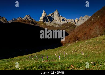 Alba autunnale ad Aiguilles d'Ansàbere nel Cirque de Lescun (Valle d'Aspe, Pirenei Atlantici, Francia) Foto Stock