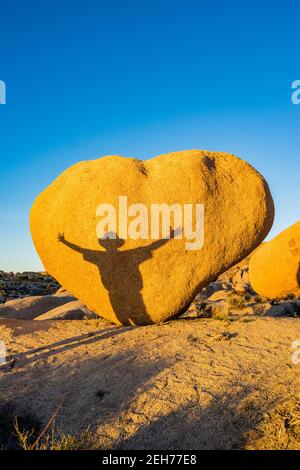 Masso a forma di cuore con l'ombra dell'uomo con le braccia distese. In luce dorata sera al Joshua Tree National Park, CA Valentine card appropriata. Foto Stock