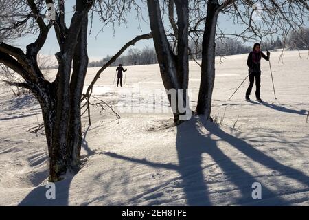 Ombre di alberi in uno scenario invernale innevato con due sciatori, sci di fondo Foto Stock