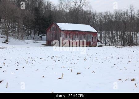 Fienile rosso rustico, con campo di mais innevato di fronte Foto Stock