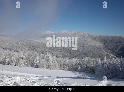 Certuv Mlyn e Knehyne montagna, Beskids, Repubblica Ceca, Czechia - paesaggio e natura in inverno. Prato e conifere sono coperti da w Foto Stock