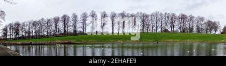 Alberi in Inverleith Park che si affaccia Inverleith Pond, Edimburgo Foto Stock