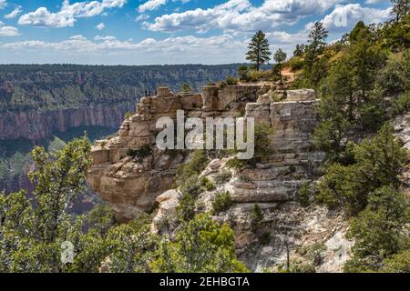 North Rim del Grand Canyon nell'Arizona del Nord, Stati Uniti Foto Stock