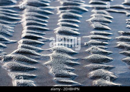 struttura astratta sulla spiaggia, con rilievi uniformi di sabbia allineati, formati dall'acqua durante la bassa marea. Spiaggia in Olanda Foto Stock