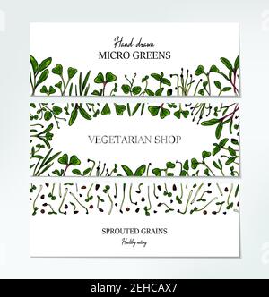 Set di striscioni orizzontali micro verdi disegnati a mano. Sano vegetariano e vegan food design per logo aziendale, stampa, confezioni. Illustrazione vettoriale Illustrazione Vettoriale