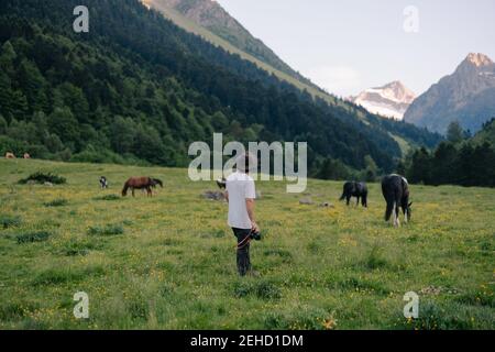 Vista posteriore del giovane viaggiatore maschile irriconoscibile in abiti casual e cappello con macchina fotografica in mano in piedi su erba prato vicino pascolo cavalli du Foto Stock