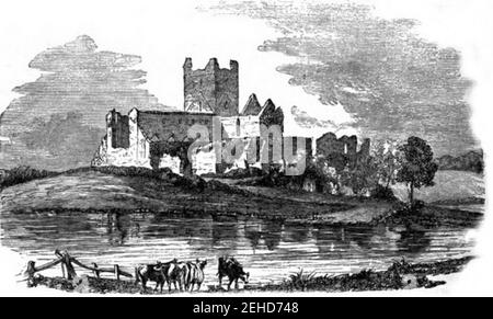 P330 DUNBRODY ABBEY, VICINO A WATERFORD. Foto Stock