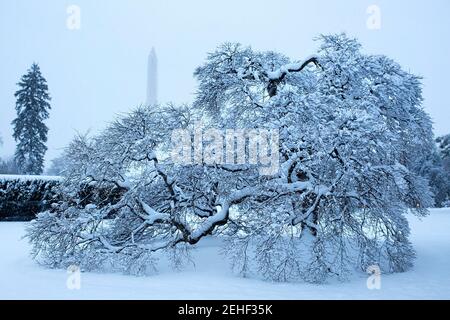 Vista del Monumento di Washington e coperti di neve alberi sui motivi del sud della Casa Bianca, 5 marzo 2015. Foto Stock