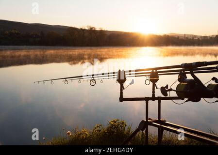 Le avventure di pesca, la pesca alla carpa. Il pescatore, al tramonto, è la pesca con carp fishing tecnica. Campeggio in riva al lago. Foto Stock