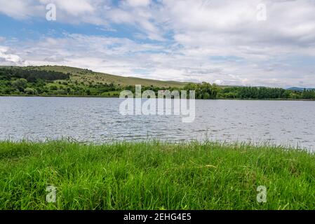 Gli alberi in fiore su un lago di montagna all'aria aperta contro lo sfondo della foresta e le montagne. Foto Stock