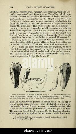 Memorie paleontologiche e note di H. Falconer, con un disegno biografico dell'autore Foto Stock