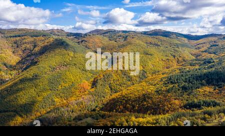 Antenna vista verticale della foresta d'autunno. Foto Stock