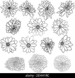 Imposta il bel fiore di schizzo su sfondo bianco. Illustrazione Vettoriale