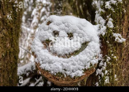 Faccia felice disegnata in neve su un albero Foto Stock