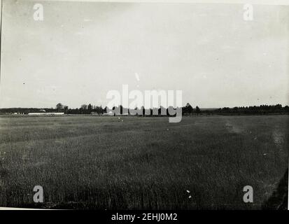 Brick von der russischen, auf eigene Stellungen bei Prusicka. Foto Stock