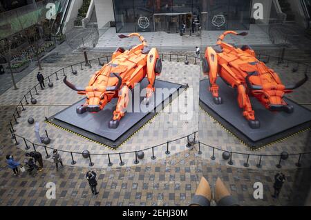 Pechino, Cina. 19 Feb 2021. Un bue meccanico è il benvenuto il nuovo anno di bue a Salitun a Pechino, Cina il 19 febbraio 2021.(Photo by TPG/cnsphotos) Credit: TopPhoto/Alamy Live News Foto Stock