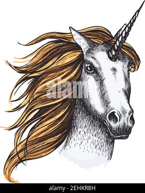 Unicorno mistico fata testa cavallo icona schizzo con manna dorata e corno magico argento. Vector unicorno cavallo museruola con manna ondulato per sport equini o e. Illustrazione Vettoriale