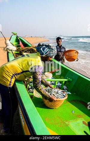 Pescatore che scaricano cestino di pesce dalla barca dopo il fermo Foto Stock