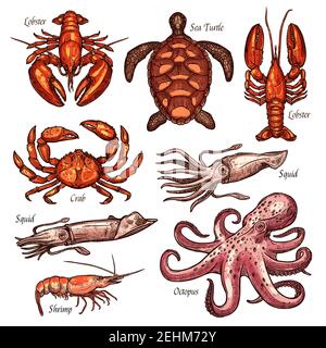 Frutti di mare, molluschi e animali marini bozzetti per la pesca sport e ristorante design menu. Granchio, aragosta e calamari, polpo, gamberetti e tartaruga i Illustrazione Vettoriale