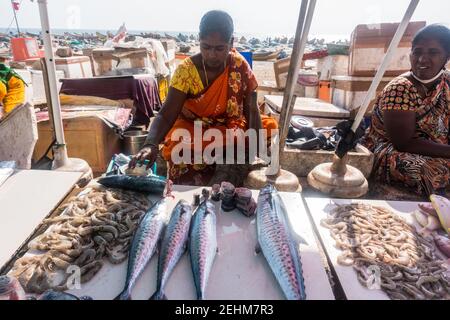 Fisher donne che vendono pesce sul lato strada stalla vicino La costa di Marina Beach Foto Stock