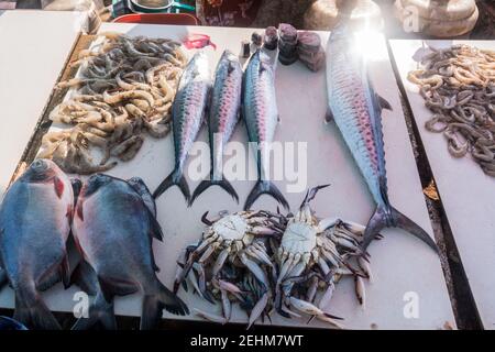 Pesce, granchio e gamberi in esposizione sul lato strada piccolo negozio venditore a Chennai, India Foto Stock