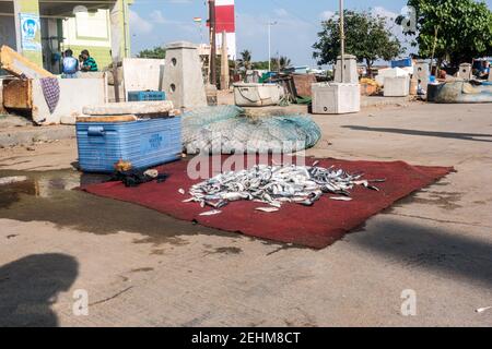 Chennai (Madras) pescatore che vende pesce sulla strada a Chennai Marina con faro sullo sfondo Foto Stock