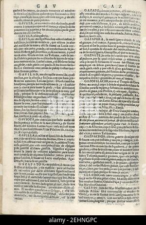 Parte española del Tesoro de la lengua castellana o 1673 (página28v),. Foto Stock