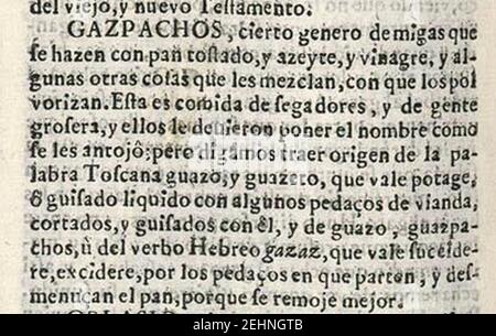 Parte segunda del Tesoro de la lengua castellana o española (1673), página28v (corto). Foto Stock