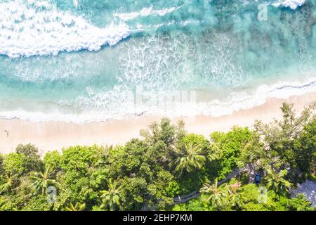 Takamaka spiaggia natura vacanza paradiso oceano copyspace copia spazio drone vista foto aerea in Mahe sulle Seychelles. Foto Stock