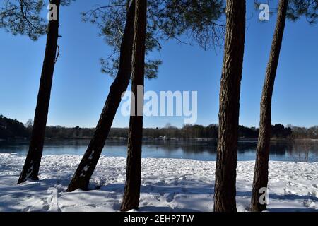 Una bella vista di un lago ghiacciato attraverso gli alberi Ai margini di una foresta olandese Foto Stock