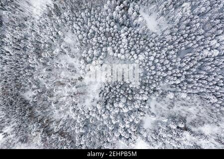 Inverno neve alberi alberi foresta boschi stagione fredda foto aerea visualizzare gli sfondi di sfondo Foto Stock
