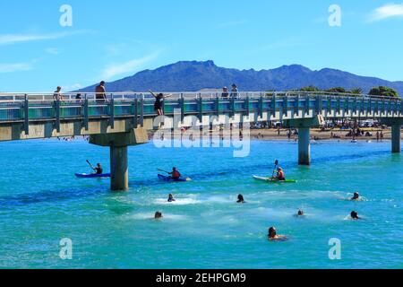 Raglan, Nuova Zelanda, in estate. Nuotatori che saltano nel porto dal ponte pedonale te Kopua Foto Stock