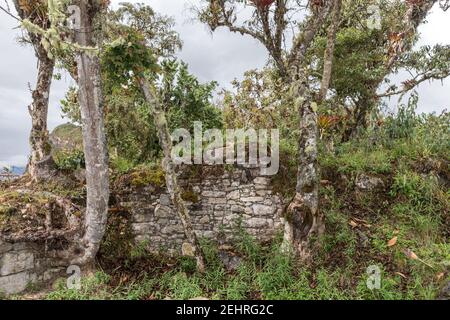 Mura interne, Cittadella di Kuelap, Kuelap, Perù Foto Stock