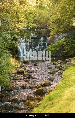 Cascata artificiale di boschi dalla città di Trondheim, Norvegia. Foto Stock