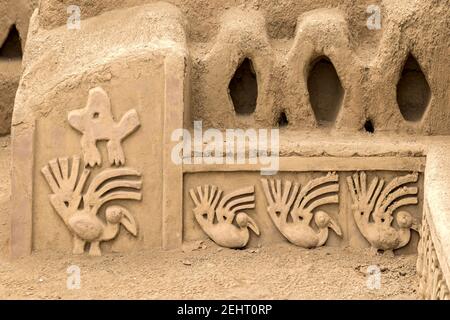 Area amministrativa, Pelican e reti da pesca bassorilievi, Palazzo del XIV secolo, Chan Chan, la più grande città di adobe del mondo e S America più grande pre-colombiano Foto Stock