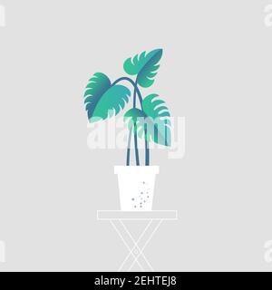 Foglie di Monstera Deliciosa. Giungla tropicale, natura botanica. Primavera ed estate. Homeplant. Vettore. Illustrazione Vettoriale