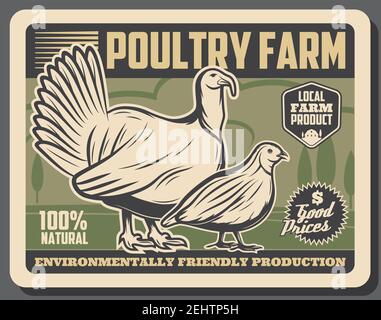 Poster retrò del mercato agricolo, prodotti a base di carne di pollame provenienti dalla fattoria. Vector vintage design di carne naturale di alta qualità di tacchino, gallina di pollo e quaglia Illustrazione Vettoriale