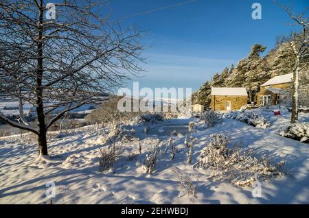 Il giardino innevato di una vecchia casa in campagna in una giornata soleggiata invernale nel Nord Pennines, Weardale, Contea di Durham Foto Stock