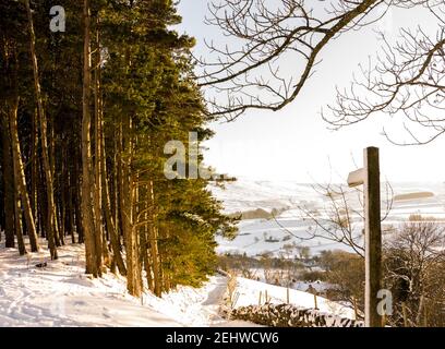 Un cartello, coperto di neve, punta ad un sentiero accanto ad un bosco di conifere illuminato dal sole nel North Pennines, Weardale, County Durham Foto Stock