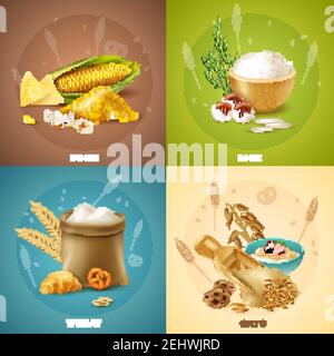 Quattro concetto di progettazione di cereali isolati o insieme di icone con mais riso grano e avena descrizioni vettore illustrazione Illustrazione Vettoriale
