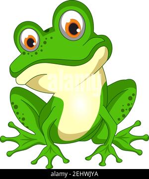 Vettore verde sorridente Frog. Sfondo bianco isolato. Illustrazione Vettoriale