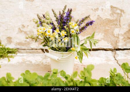 Bouquet di fiori di tè. Camomilla, balsamo al limone e menta. Dieta sana. Mattina nel villaggio. Sfondo di legno Foto Stock
