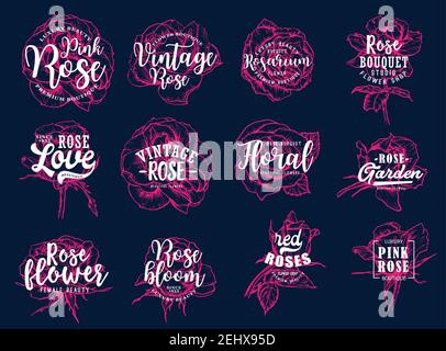 Icone scritte e rose per negozio di fiori e bouquet studio. Negozio di fiori o badge rosarium con gemme di petali rosa e silhouette foglie. Femmina Illustrazione Vettoriale