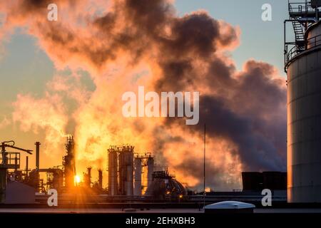 Schwechat: Raffineria OMV, colonna di frazionamento, vapore, tramonto a Donau, Niederösterreich, Bassa Austria, Austria Foto Stock